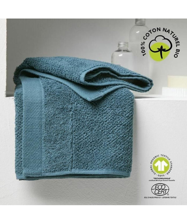 V3H4282E49CFE188E48495EA344D4228D9FR5838713P1