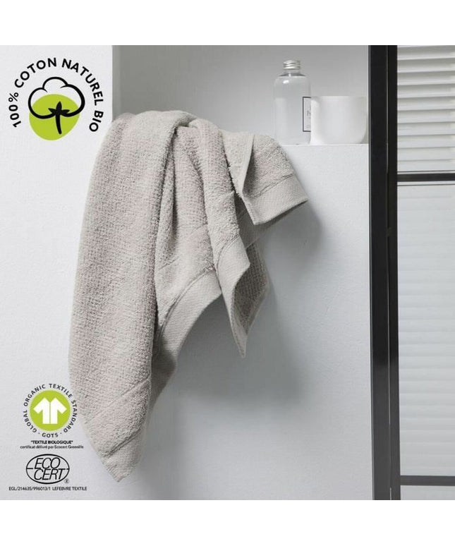 V3H7D7F5485588AC3AC6562E94EDFD57961R5838390P1