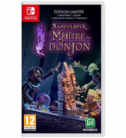 Microids The Dungeon Master of Naheulbeuk Switch video game cartridge for plug-and-play consoles, featuring colorful game artwork.