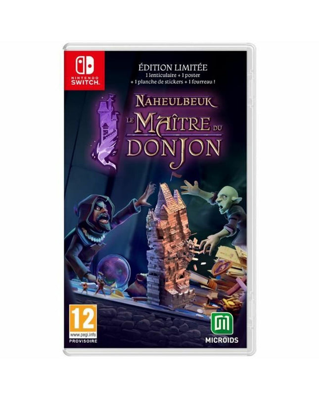 Microids The Dungeon Master of Naheulbeuk Switch video game cartridge for plug-and-play consoles, featuring colorful game artwork.