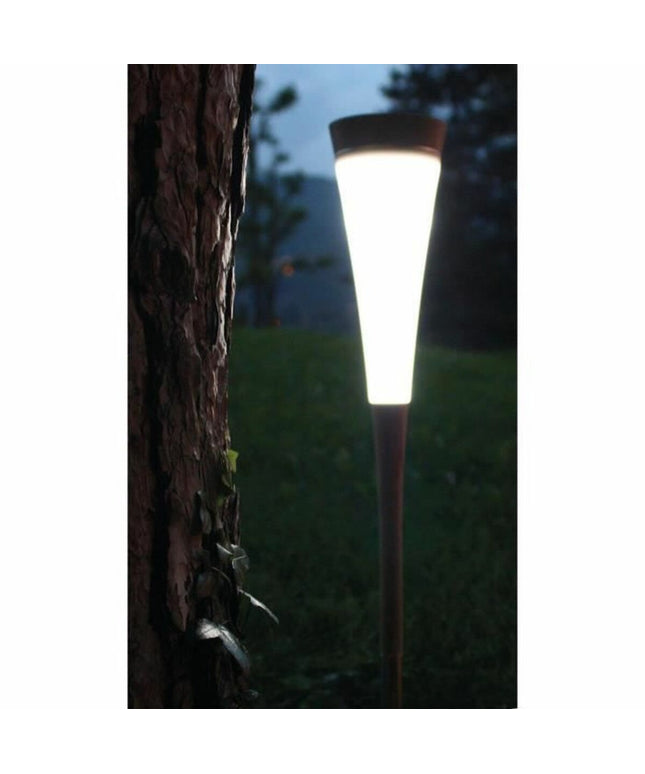 V4H1066814D52C97BA9C93E54E97FF8D882R5567681P2