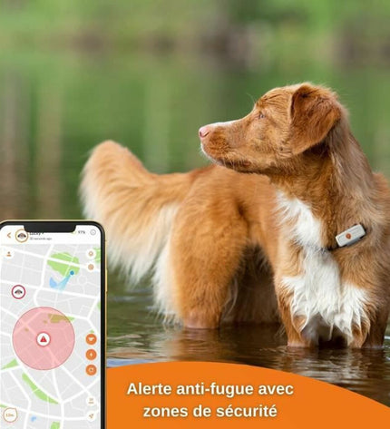 Weenect XS GPS anti-diefstal tracker for dogs, white, compact device used for pet security and location monitoring.