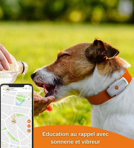 Weenect XS GPS anti-diefstal tracker for dogs, white device with digital display and branding visible.