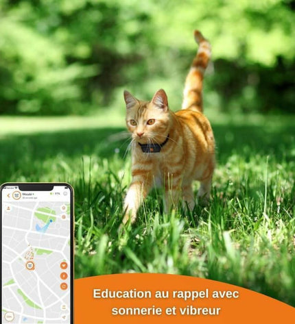 Black Weenect XS GPS anti-theft tracker for dogs, compact device designed to monitor and locate pets securely.