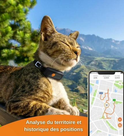 Black Weenect XS GPS anti-theft tracker for dogs, showing the device and its compact design in a natural setting.