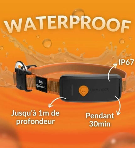 Weenect Orange anti-diefstal zoekapparaat voor honden, met oranje ontwerp en GPS tracking voor dierveiligheid.