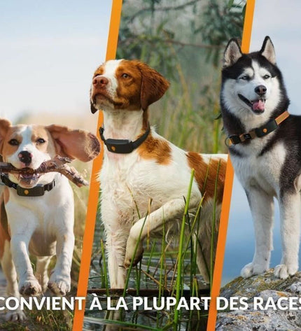 Weenect anti-diefstal zoekapparaat voor honden, draadloze tracker met display en GPS-functionaliteit voor dierbeveiliging.