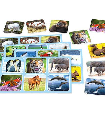 Schmidt Spiele Zoo Lotto dieren speelgoed game with colorful animal cards and game pieces for children.