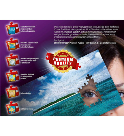 Devir 1000-piece puzzle with colorful interlocking pieces for challenging brain-teasing fun and entertainment.
