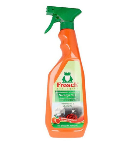 Frosch 750ml surface cleaner bottle for household cleaning and kitchen use with eco-friendly formulation.