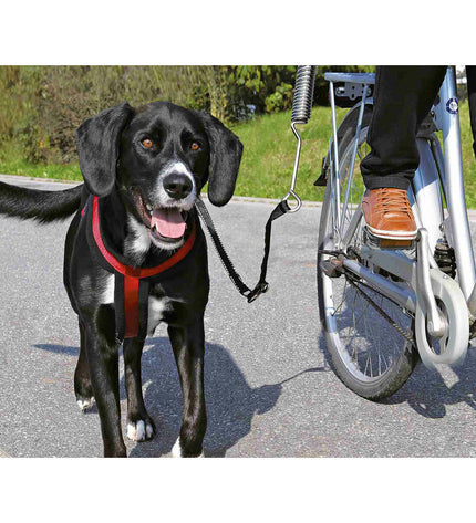 V9H6505F55F7AE143F65420F172CD741AEBR7442198P4