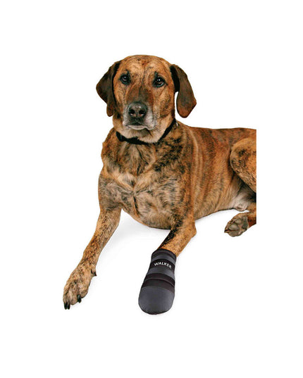 V3HC77E13FD0BA49B99C71A9F598C50640CR7440591P3