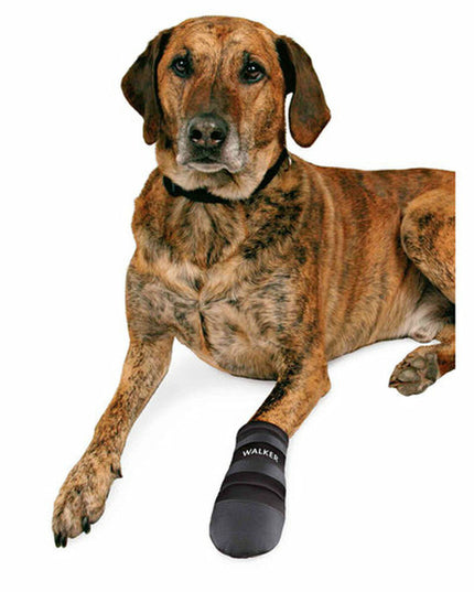 V3HEEF7CC4BD4D30E697CD4C946B6DE3D9FR7440595P4