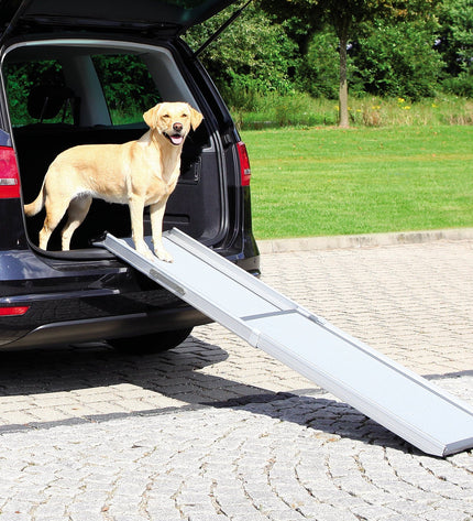 TRIXIE ALUMINUM TELESCOPIC WALKING PLANK 100-180X43 CM