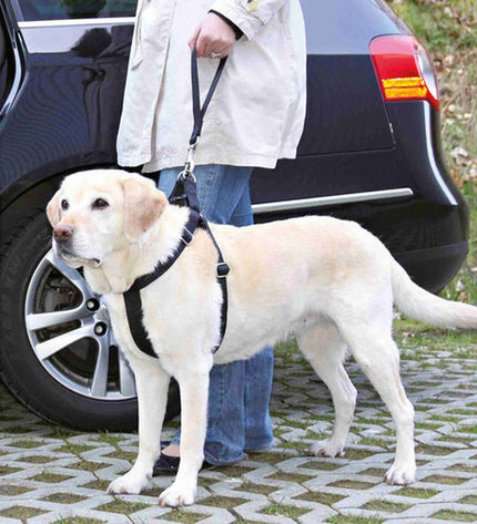 V7H45844FB48DC262930CA6250018199119R7442456P4
