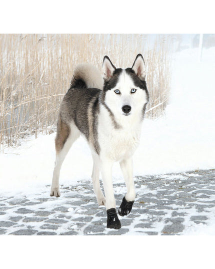 V3HD80E41F39B328607ADEB3A84A7E6D450R7439950P3