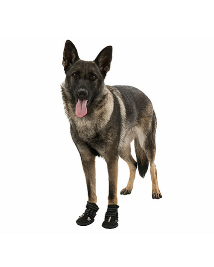 V3HC6616CF4D4BE612CE50FBDE4DBF83B10R7439958P5