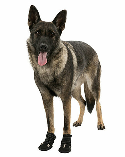 V3H000F87F1744309DE9318CE72E5430370R7439960P6