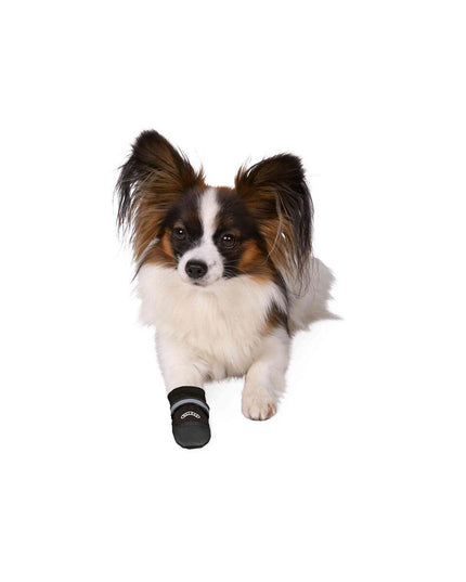 V3H730C8D12B147CF6D5FDE7912E45AE3E6R7440561P3