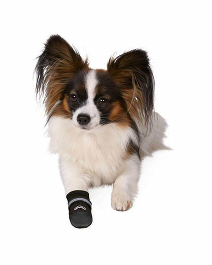 V3HBAE12CC30CFA034C0FDF4298B4A7064AR7440564P4