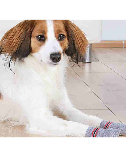 V3HD28CD019F436E1573E47D8552C4965AER7439804P5