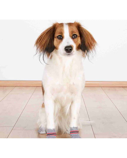 V3HC78E3BC2A096D2B5480902F6C350BDBBR7439818P7