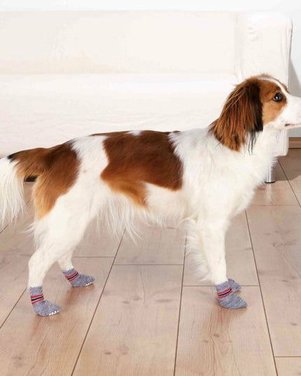 V3H6EA6B16FF71B5F7D2F539BC95FD9D06DR7439827P10