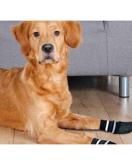 V3H5996F559332F93AB7BF9C8A4AA420F01R7440548P3