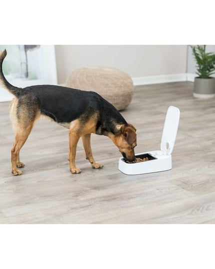 V3HA6E6149E55BC4927D3515DAFA205FC88R7461870P8