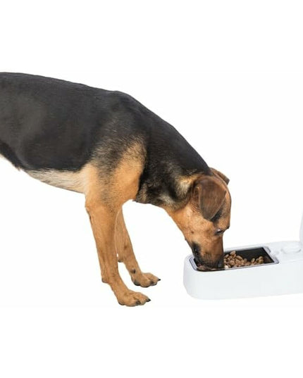 V3HE4AB3F0CF32094EDE9036F805F651020R7461871P9