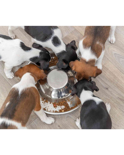 V3H5DD815725D440CFD12997DA13CECEB37R7462356P3