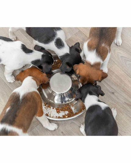 V3H9210DF232FD631B8E7F568FC21288022R7462360P4