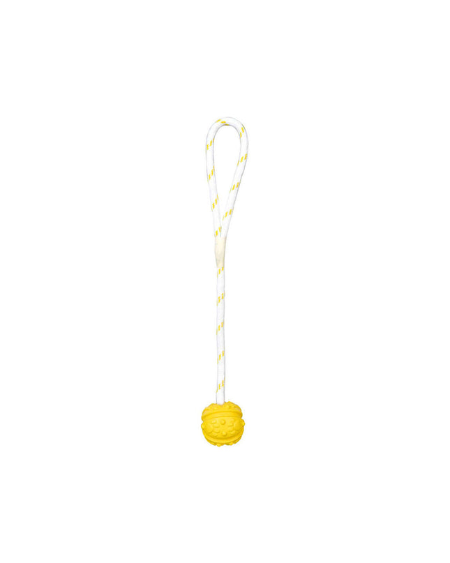V8HDECAD57691969A1088497D829E81E9E7R7442962P1