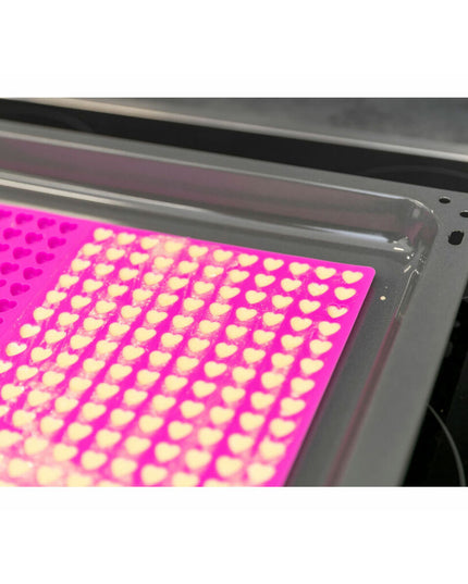 V4HD736919CD1B5ED6CBAE818A442929890R7457678P3