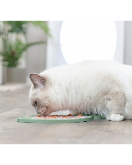 V5HFA71CA8ABCB656E6355ED0FBCC060ED3R7455931P7