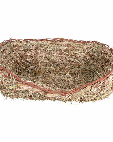 V5HD74E0000277C79131E190421DB7304F7R7445146P2