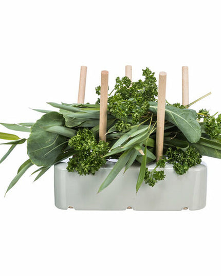 V6H16B87F7F7D400BF4AFCCC7692CAFAF1BR7455541P6