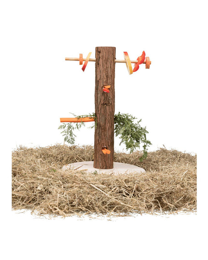 V6H14B7EEC9DB98C234DDBAB2A1B098654FR7444923P3