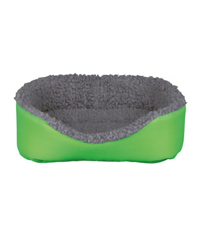 V3H4230618CAF7EBFFFCA66E043370E89A2R5579675P1