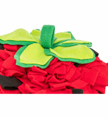 V6H3C30502D679217D4E3A045DD8E3810B0R7459567P4