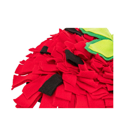 V6H76FABC2814893F742881ED0CD8B6463DR7459569P5