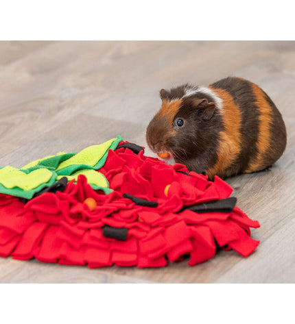 V6H04474D15ED64CFC5700C73BF0C2D8BAAR7459573P7