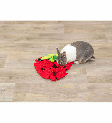 V6HA8A5D159EE1A20AF5387D484A1588D4AR7459577P10