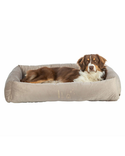 V2H75B9E17F6D095D3BEA6BBCB4B47E0631R7503075P5