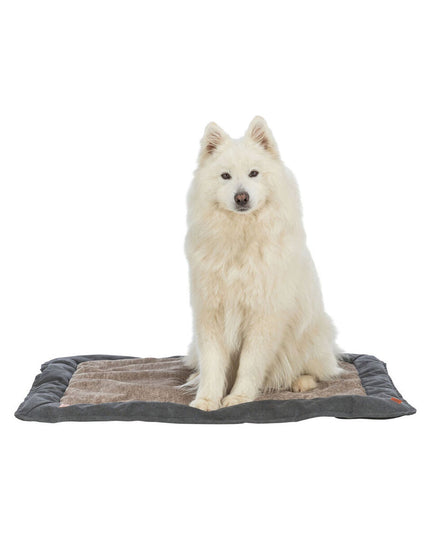 V2H5E04EC769C97A306FDFEFC25AD211E22R7519015P3