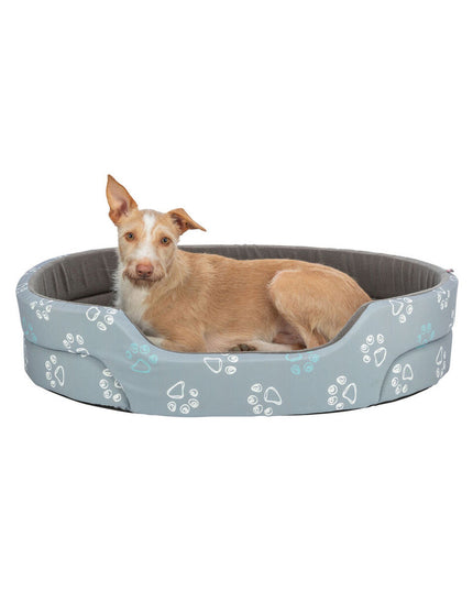 V3H13DB3DF14447974C378F9CCC0137F696R7454457P3