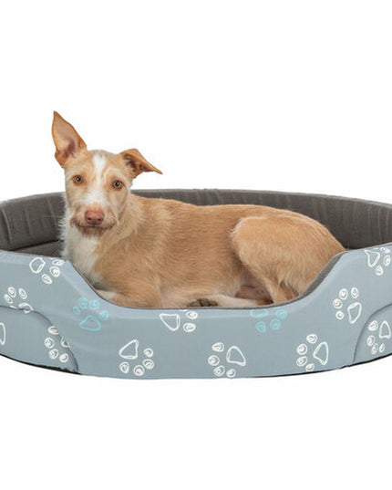 V3HD1D9D071A88B87F8719B603410745792R7454462P4