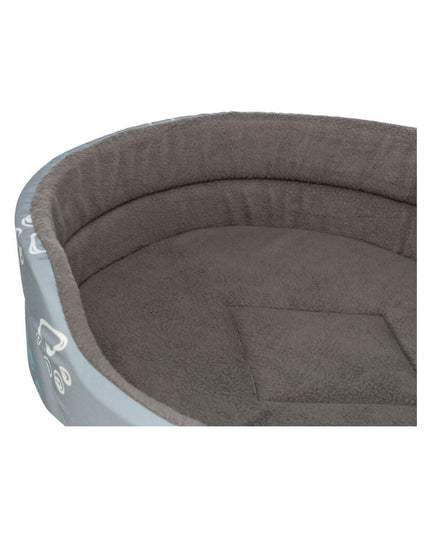 V3H455B4F3F883A2FCFCB1B9CCEDE44D351R7454468P5