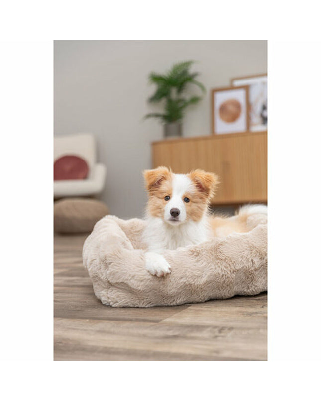 V5HCA5A57C77FEF6DA9F89830826A0417EAR7449392P2