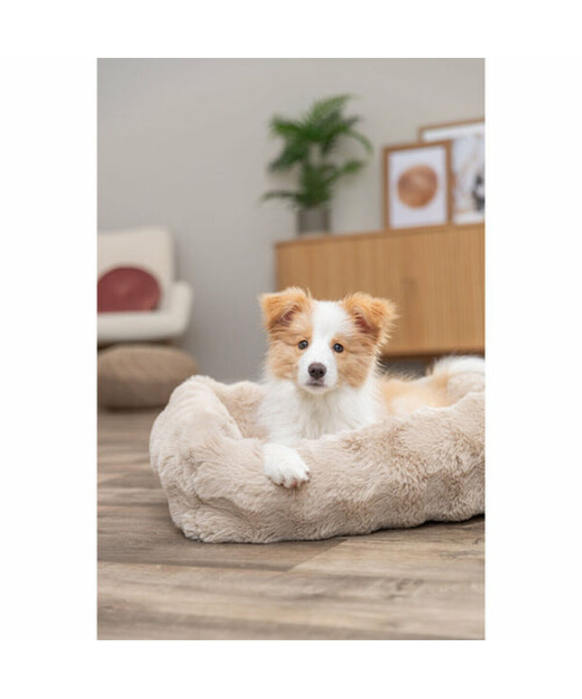 V3HCA5A57C77FEF6DA9F89830826A0417EAR7449392P2